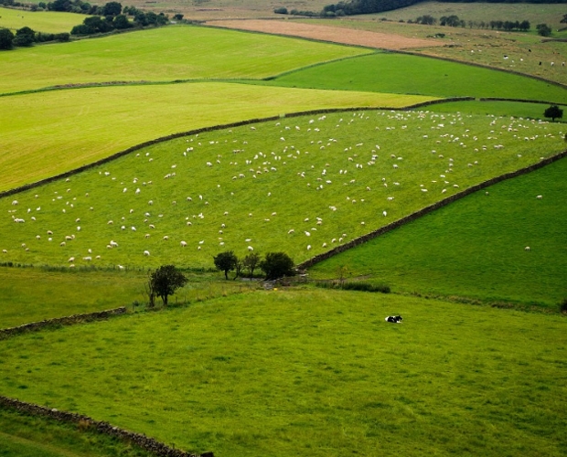 The future of farming and the countryside